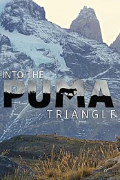 Into the Puma Triangle