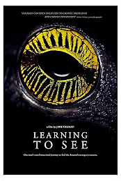 Learning to See: The World of Insects