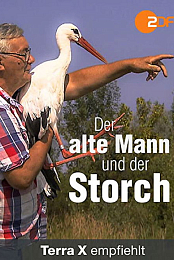Der alte Mann und der Storch