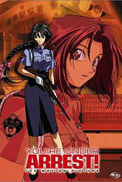You're Under Arrest: The Movie