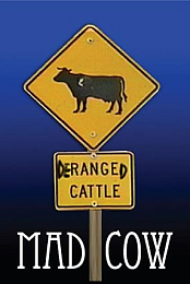 Mad Cow