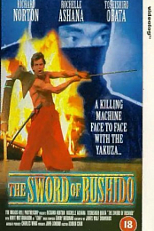 American Ninja Fighter