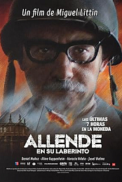 Allende en su laberinto