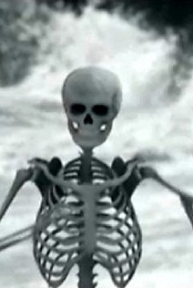 The Killers: Bones