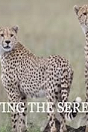 Surviving the Serengeti