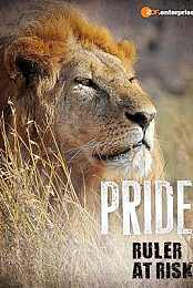 Pride: Ruler's at Risk