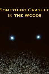 Something Crashed in the Woods