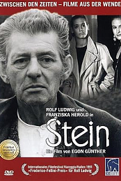 Stein