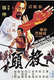 The Kung Fu Instructor