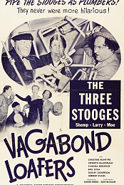 Vagabond Loafers