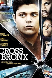 Cross Bronx
