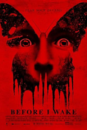 Before I Wake