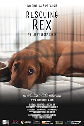 Rescuing Rex 2020 720p WEB HEVC x265