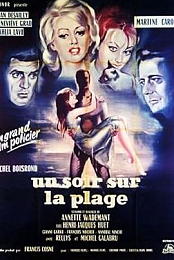 One Night at the Beach