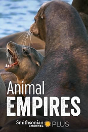 Animal Empire
