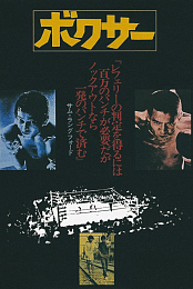 The Boxer