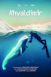 #Hvaldimir, Conversation with a Spy Whale