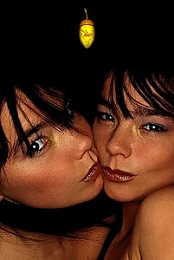 Bjork: Isobel