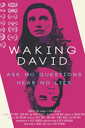 Waking David