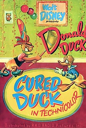 Cured Duck