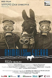 Animals in the Great War