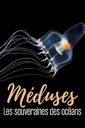 Meduses - Les souveraines des oceans