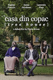 Casa din copac
