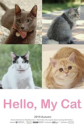 Hello, My Cat