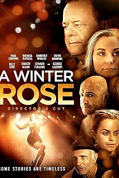A Winter Rose