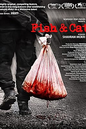 Fish & Cat