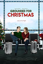 Grounded for Christmas