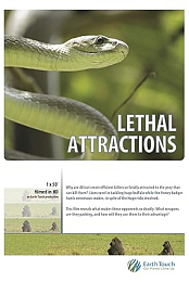 Lethal Attractions