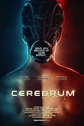 Cerebrum