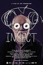 Insect