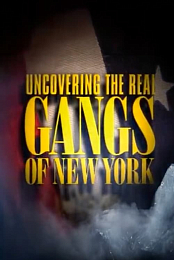 The Gangs of New York