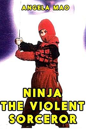 Ninja, the Violent Sorceror