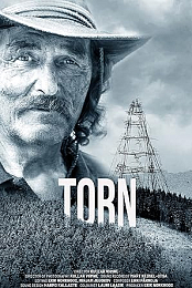 Torn