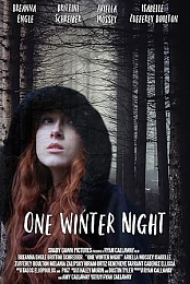 One Winter Night