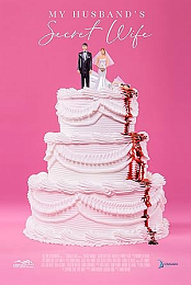 My.Husbands.Double.Life.2018.720p.HDTV.x264-W4F