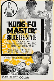 Kung Fu Master: Bruce Lee Style