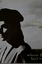 Enya: Orinoco Flow (Sail Away)