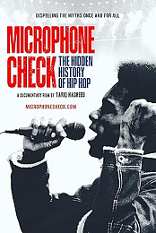 Microphone Check