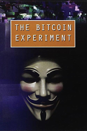 The Bitcoin Experiment