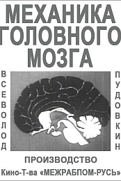 Mechanics of the Brain