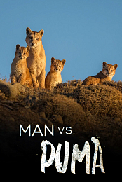 Man Vs Puma (2018) 1080p WEBRip YTS YIFY