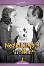 Nevideli jste Bobika?