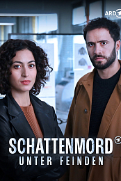 Schattenmord: Unter Feinden