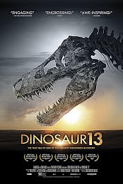 Dinosaur 13