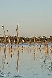 The Lake of Scars