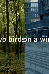 Two Birds on a Wire